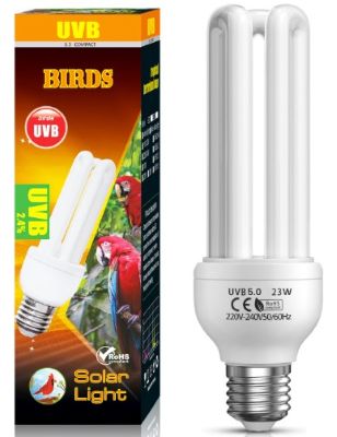 Lampada fluorescente cmpatta per uccelli rettili
